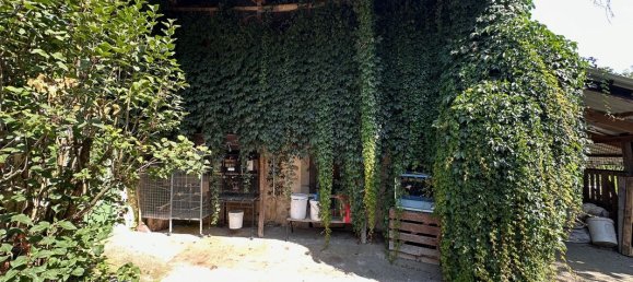 5 غرف نوم منزل في Occitanie, France رقم 342202 20