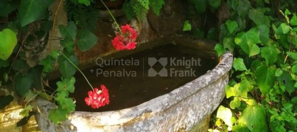 5 bedrooms House in Sintra, Portugal No. 120648 27