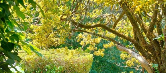 5 bedrooms House in Sintra, Portugal No. 120648 24