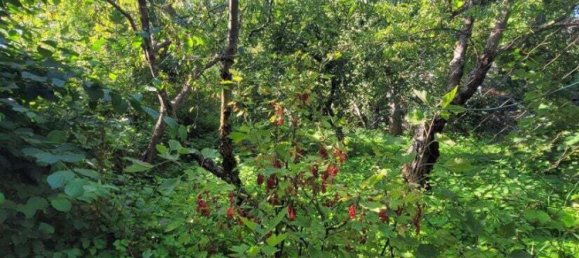 6 rooms Townhouse in Schwabach, Germany No. 273880 26