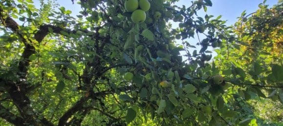 6 rooms Townhouse in Schwabach, Germany No. 273880 3