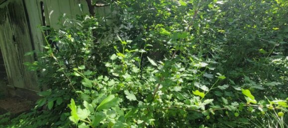 6 rooms Townhouse in Schwabach, Germany No. 273880 25