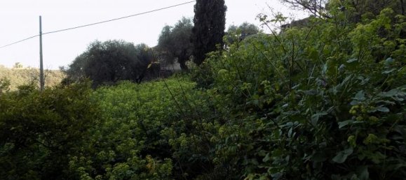 5 rooms Apartment in Imperia, Italy No. 224859 6