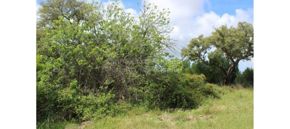 2 bedrooms Villa in Santiago do Cacem, Portugal No. 96510 22