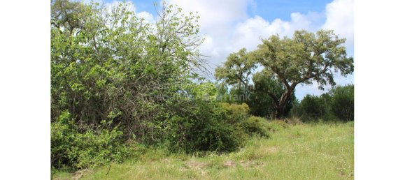 2 bedrooms Villa in Santiago do Cacem, Portugal No. 96510 21