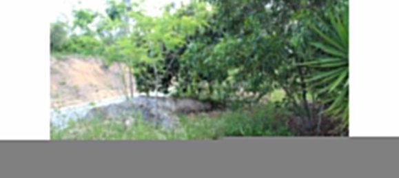 2 bedrooms Villa in Santiago do Cacem, Portugal No. 96510 17