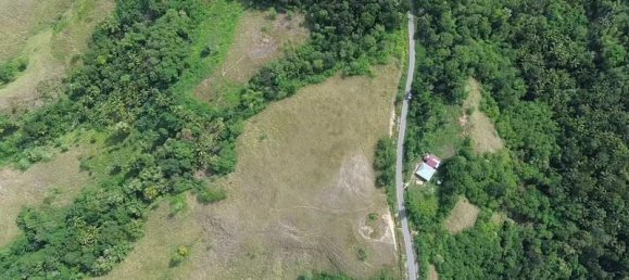 Terrain à East Nusa Tenggara, Indonesia 13092m² No. 4530 2