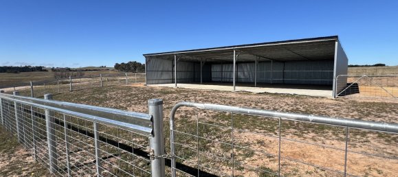 House in Wayo, Australia No. 1001 5