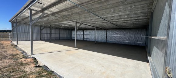 House in Wayo, Australia No. 1001 11