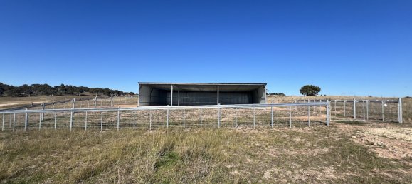 House in Wayo, Australia No. 1001 9