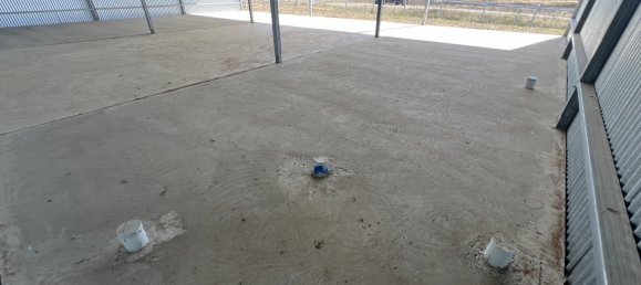 House in Wayo, Australia No. 1001 6