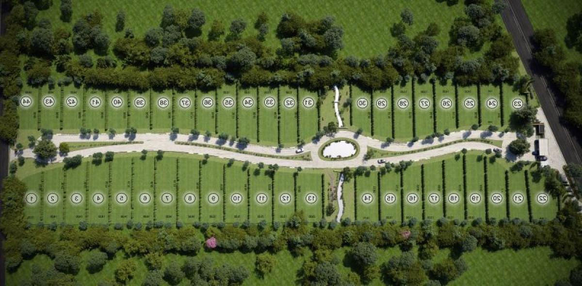  Land in Campo Creado, Argentina No. 42561