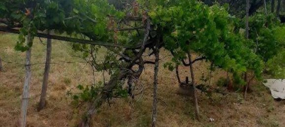 3 rooms Apartment in Morbello, Italy No. 144600 3