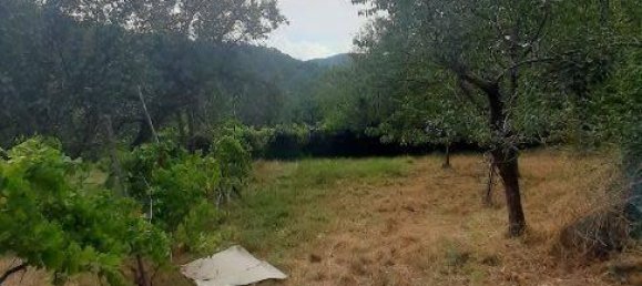 3 rooms Apartment in Morbello, Italy No. 144600 4