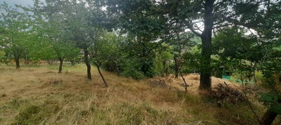 3 rooms Apartment in Morbello, Italy No. 144600 16