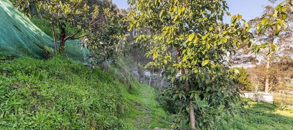 2 bedrooms House in Vila Nova de Famalicao, Portugal No. 157245 14