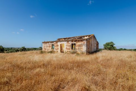 4 chambres Maison à Serpa, Portugal No. 190196