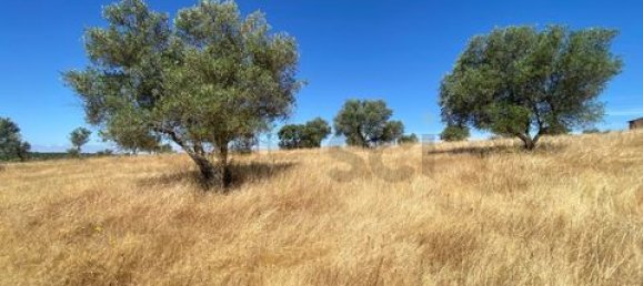 4 chambres Maison à Serpa, Portugal No. 190196 22