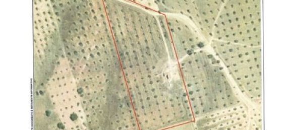 4 chambres Maison à Serpa, Portugal No. 190196 29