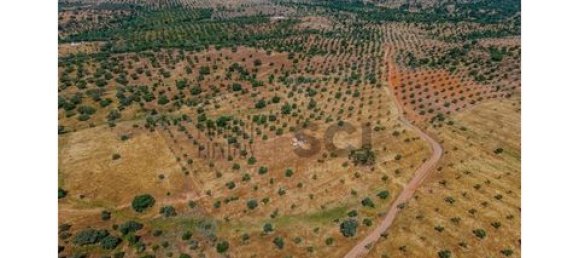 4 chambres Maison à Serpa, Portugal No. 190196 17