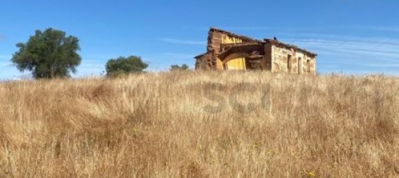 4 chambres Maison à Serpa, Portugal No. 190196 14