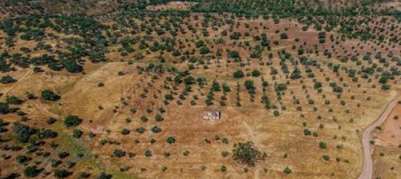 4 chambres Maison à Serpa, Portugal No. 190196 9