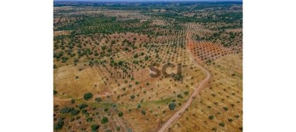 4 chambres Maison à Serpa, Portugal No. 190196 24