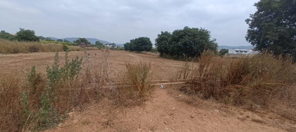 1050m² Land in Valencia, Spain No. 152985 3