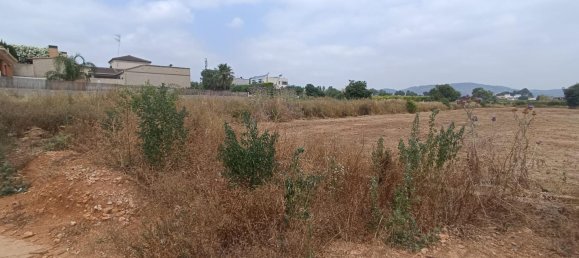 1050m² Land in Valencia, Spain No. 152985 8