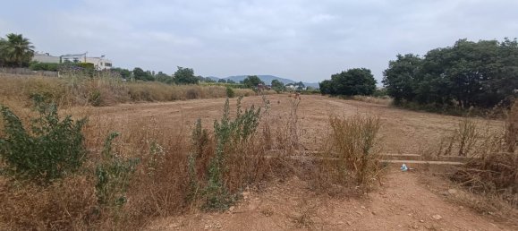 1050m² Land in Valencia, Spain No. 152985 7