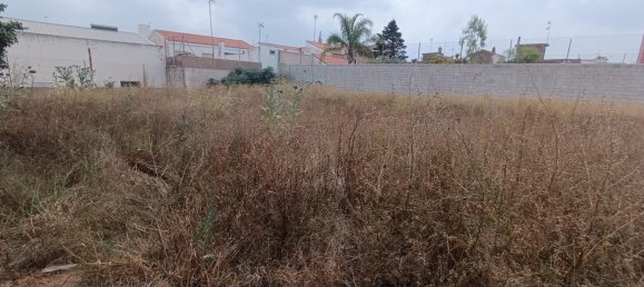 1050m² Land in Valencia, Spain No. 152985 11