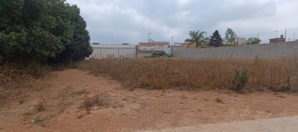 1050m² Land in Valencia, Spain No. 152985 12