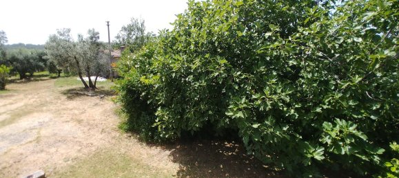 Дом с 4 спальнями в Арче, Италия № 255610 30