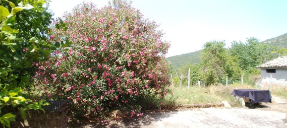 Дом с 4 спальнями в Арче, Италия № 255610 33