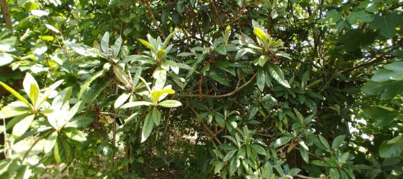 Дом с 4 спальнями в Арче, Италия № 255610 34