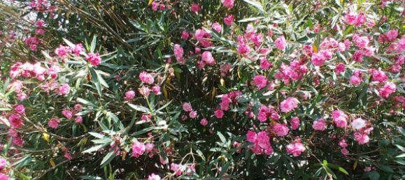 Дом с 4 спальнями в Арче, Италия № 255610 32