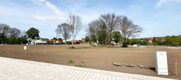 Terrain à Mansfeld-Sudharz, Germany 582m² No. 135646 2