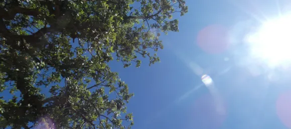 Terreno en Marmelete, Portugal No. 68319 2