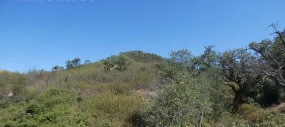 Terreno en Marmelete, Portugal No. 68319 6