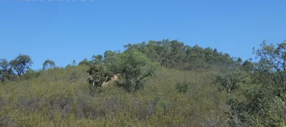 Terreno en Marmelete, Portugal No. 68319 4