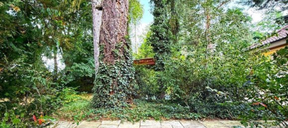  Land in Nuremberg, Germany No. 230653 11