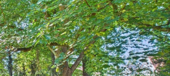  Land in Nuremberg, Germany No. 230653 9