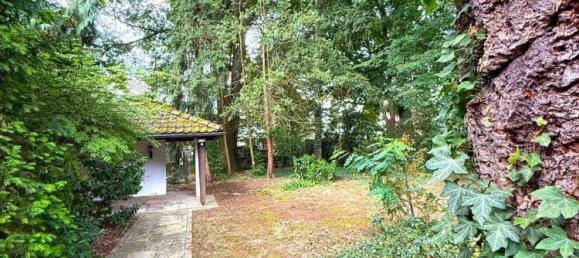  Land in Nuremberg, Germany No. 230653 6