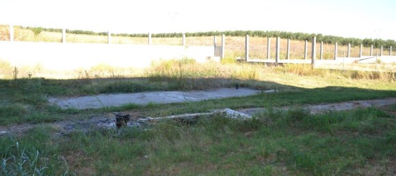 Недвижимость 1050м² в Халкидики, Центральная Македония, Македония и Фракия, Греция № 6046 12