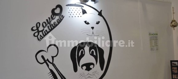 2غرفة عقار تجاري في Genoa, Italy رقم 353326 11