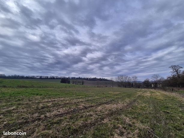 Земельный участок 4580м² в Антра, Франция № 106040