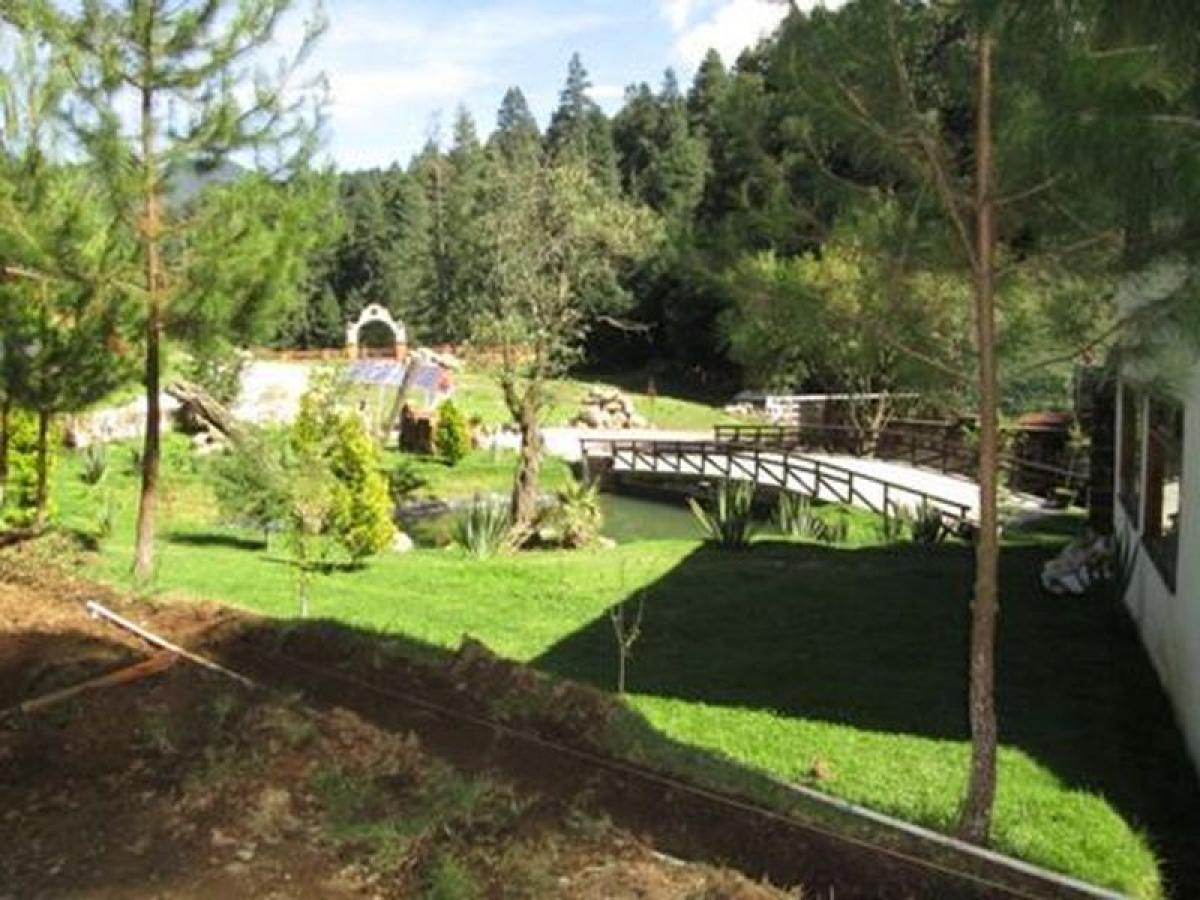 Дом с 3 спальнями в Мехико, Мексика № 218927