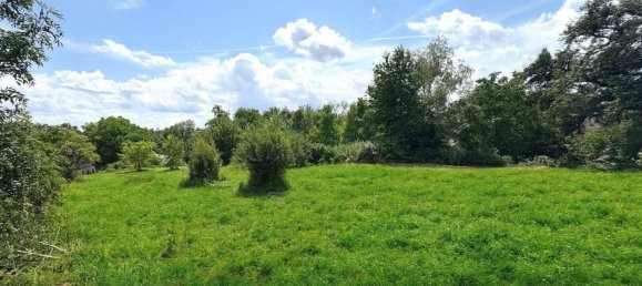  Land in Weibern, Austria No. 138089 3