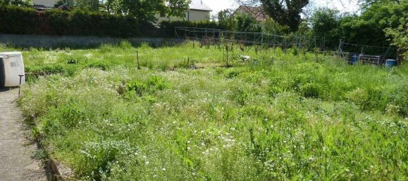 4 bedrooms House in Hasberge, Germany No. 187427 18