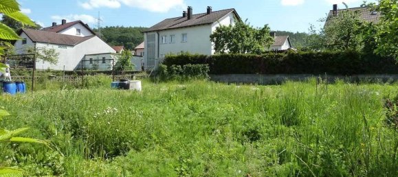 4 bedrooms House in Hasberge, Germany No. 187427 15